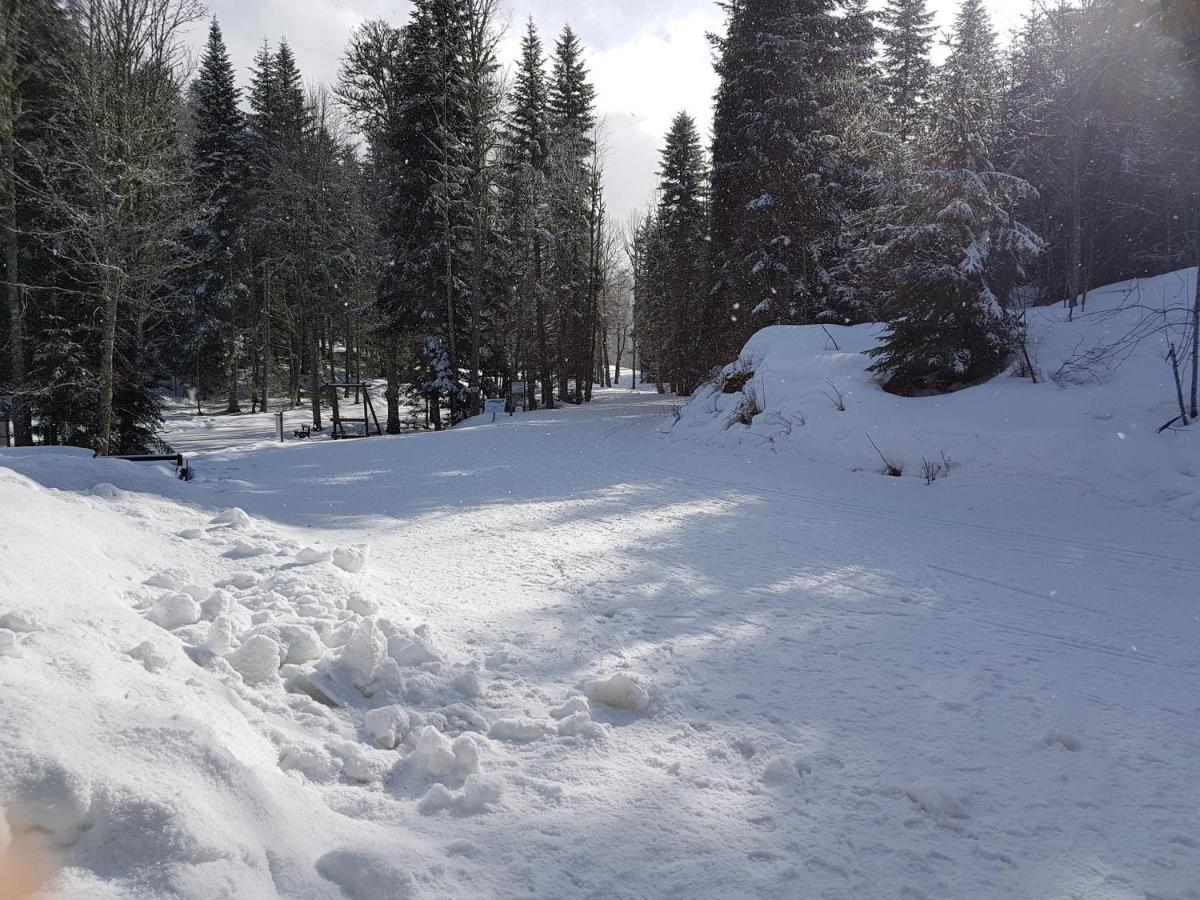 Auberge Refuge De Roybon Saint-Martin-en-Vercors Zewnętrze zdjęcie
